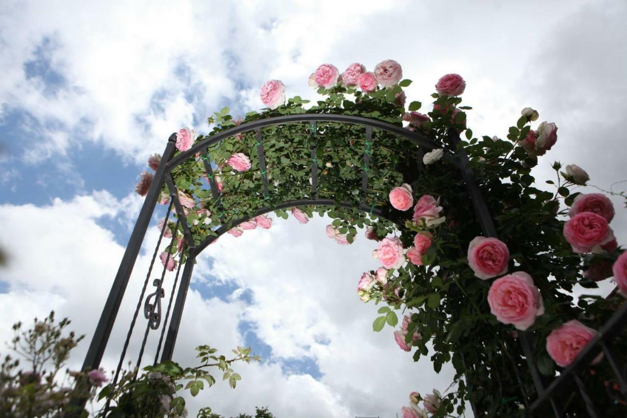 B&B Gattacicova Cava deʼ Tirreni Exterior foto